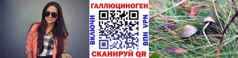 Псилоцибиновые грибы прущие грибы  сколько стоит  Багратионовск 