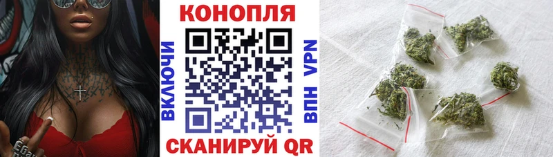 МАРИХУАНА сатива Багратионовск